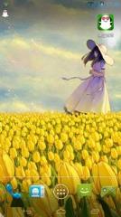 郁金香女孩主题