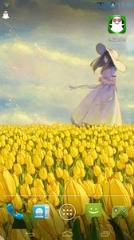 郁金香女孩主题