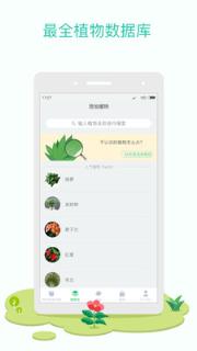 花花草草app
