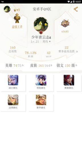 中青王者美化助手