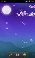 花夜动态壁纸