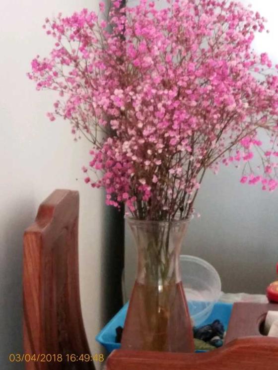 时间相机戳安卓版