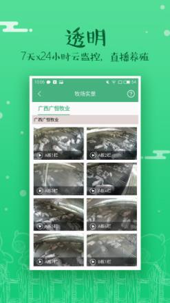 牧猪宝app