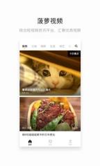 网易菠萝视频播放器