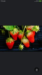 植物百科安卓版