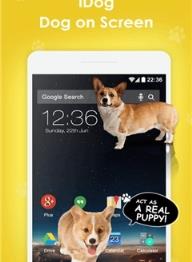 狗在手机屏幕软件