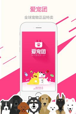 爱宠团