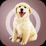 人狗沟通交流器app