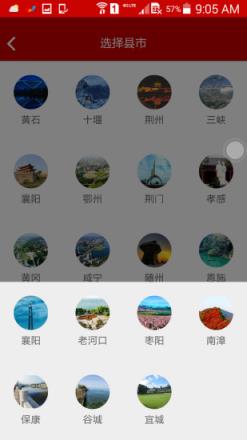 掌上农信app下载