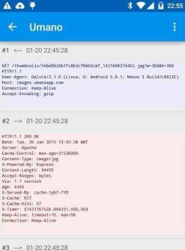 Packet Capture汉化版下载