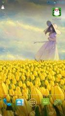 郁金香女孩主题