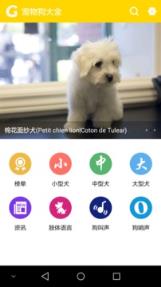 宠物狗大全app