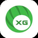 西瓜小说手机版