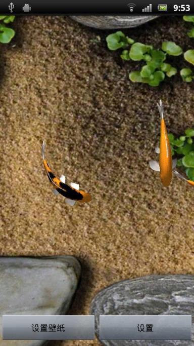 手机屏幕养鱼软件