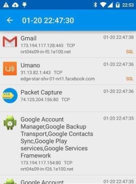 Packet Capture汉化版下载