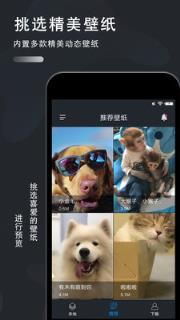 动态壁纸制作app