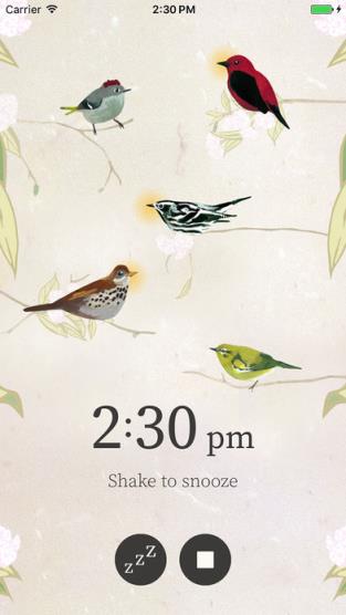 Dawn Chorus alarm软件