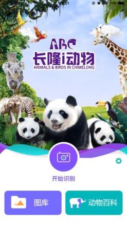 长隆i动物app