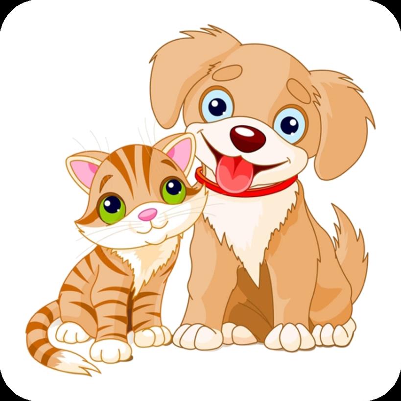 猫狗语翻译交流器app