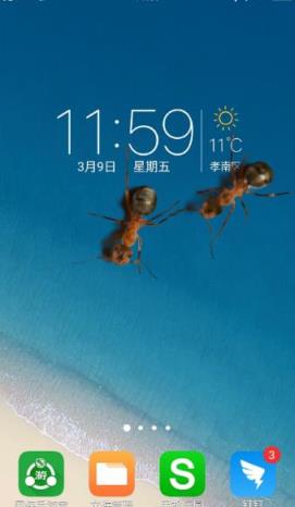 蚂蚁屏幕恶作剧