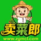 卖菜郎商户版手机端