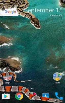 龙在屏幕恶作剧软件