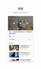 网易菠萝视频播放器
