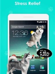 狗在手机屏幕软件