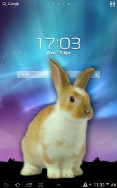 bunnyinphone安卓版
