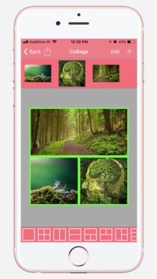 PixlrEditor相机最新手机版