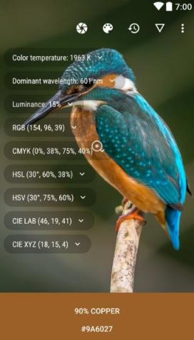 颜色选择器app下载