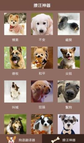 人狗沟通交流器app