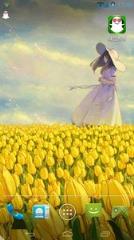 郁金香女孩主题