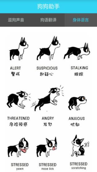 狗狗助手逗狗神器