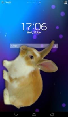 bunnyinphone安卓版