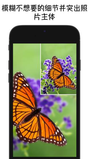 blur photo安卓版下载