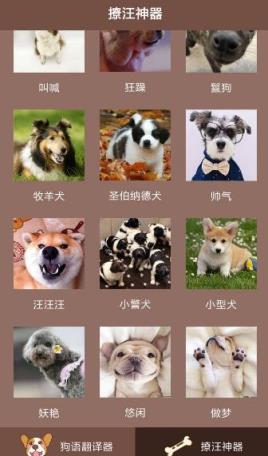 人狗沟通交流器app