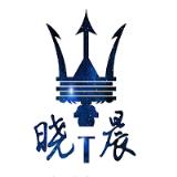 晓晨王者荣耀美化包