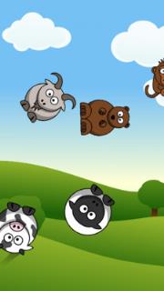 开心动物园学习软件