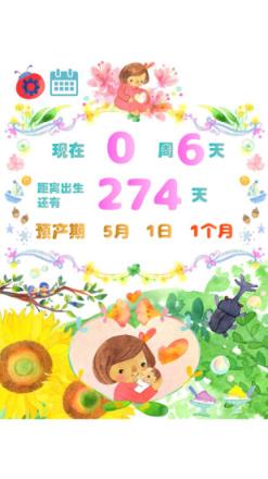 怀孕周期计算器