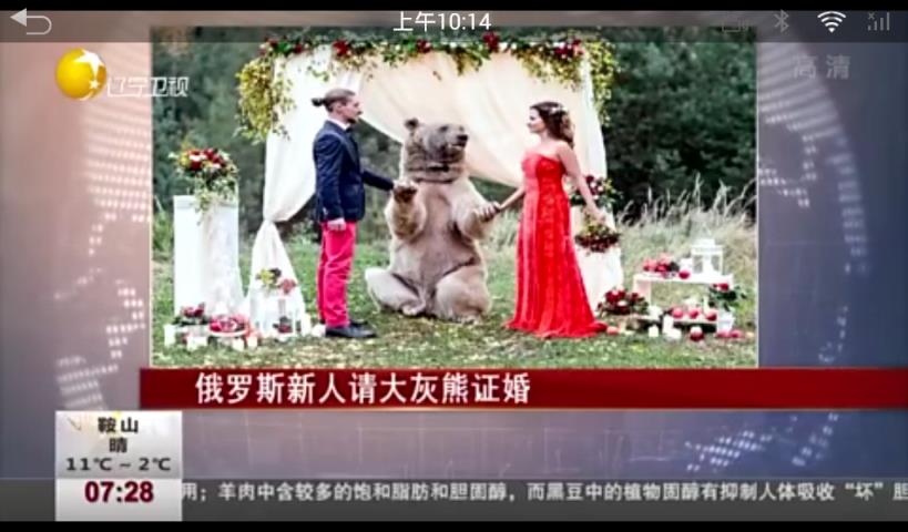 PP视频车机版