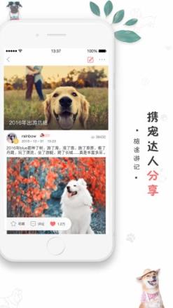 狗狗去哪儿app