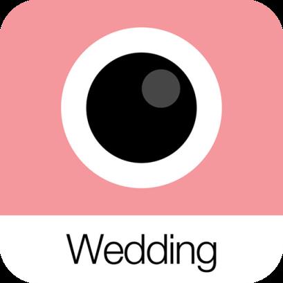Analog Wedding安卓版