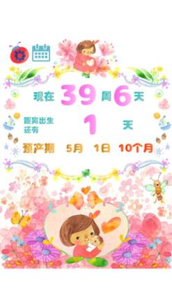 怀孕周期计算器