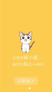 会说话的萌猫
