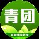 云师青团一点通app