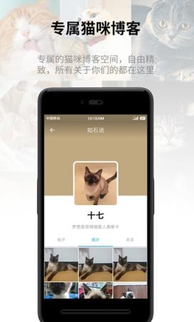 Catbook猫书APP
