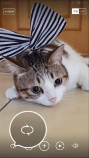 火萤组件3.0版本