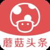 蘑菇头条