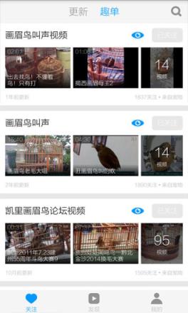 画眉鸟叫声大全